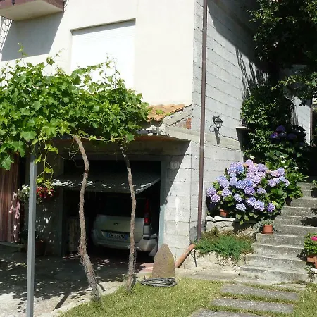 Sa Vinza * Lodine