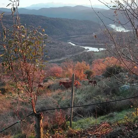 Sa Vinza Lodine